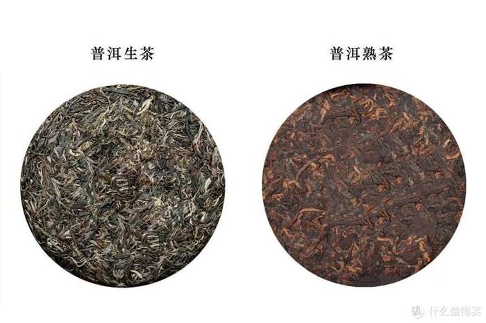 普洱茶熟茶和生茶的区别与功效