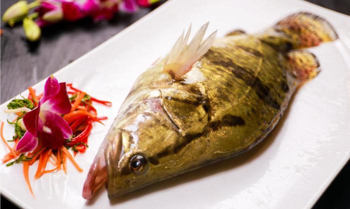 黄金桂鱼做法,黄金桂鱼的营养价值及功效