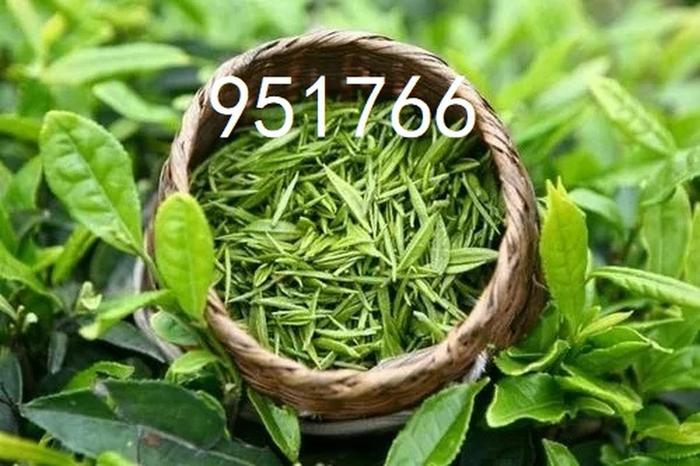 中国最好茶叶多少钱一斤