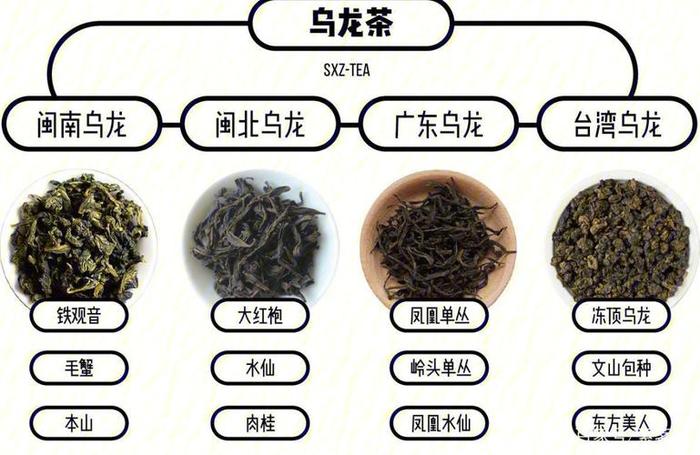 乌龙茶产自于哪里,乌龙茶出产自我国哪个地方