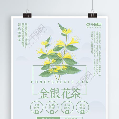 金银花茶创意,金银花茶pop手绘海报