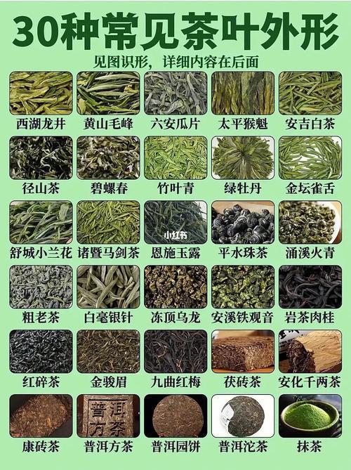 广东茶叶产地有哪些品牌