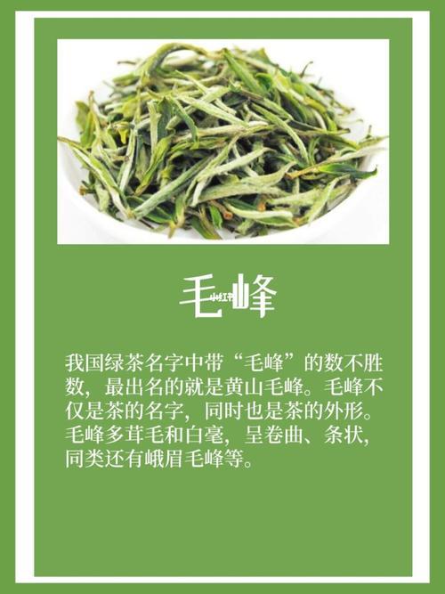 绿茶品种介绍,绿茶的品种有哪些品种