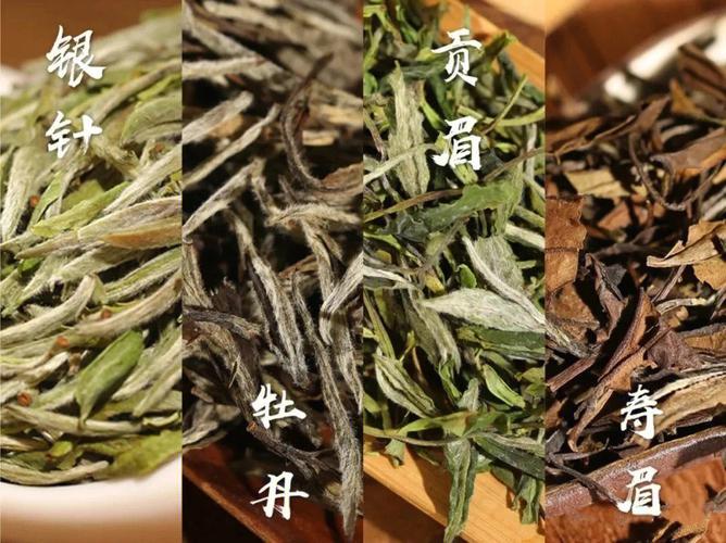 贵州白茶有什么功效