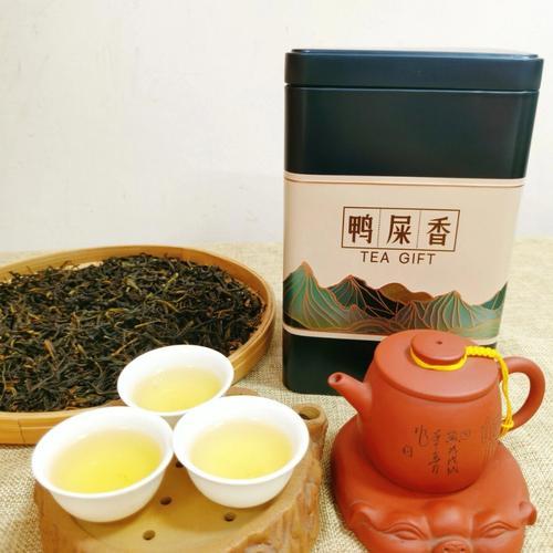 广东的凤凰单枞茶属于什么茶