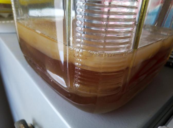 自制红茶菌的危害,自制的红茶菌保质期多长时间