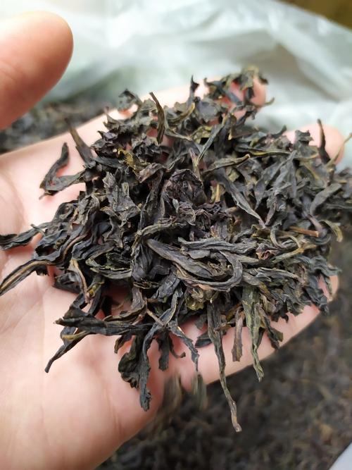 单枞茶有几种品种,单枞茶里面哪个品种最好