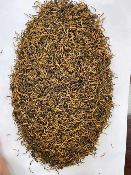 金俊梅是什么茶叶品种