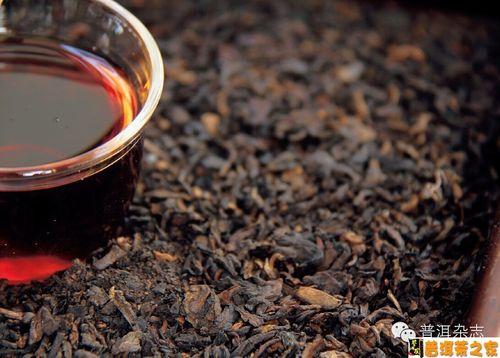 如何品普洱茶的樟香味道