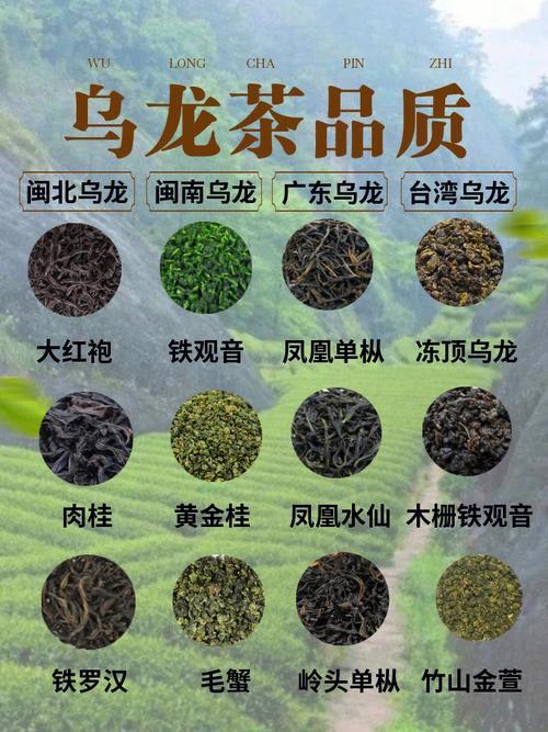 乌龙茶有几种类型,乌龙茶都有哪些品种名称