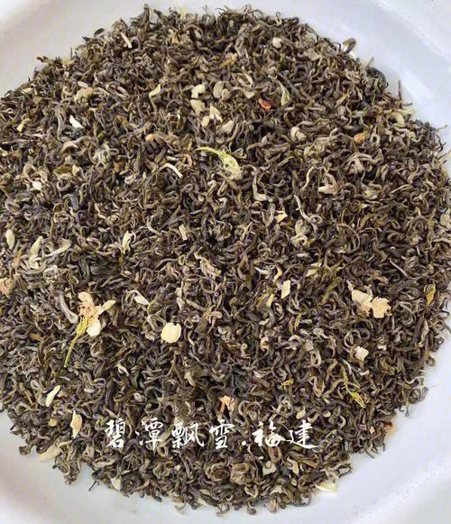 茉莉花茶品种中香气最为鲜灵的是