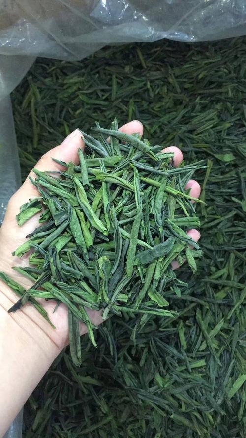 安徽明前茶叶品种,安徽明前茶什么时候上市