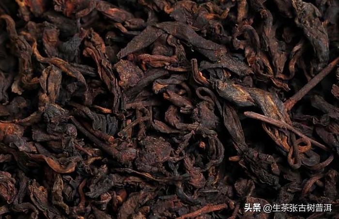 普洱茶虫,普洱茶属于6大茶类什么茶种