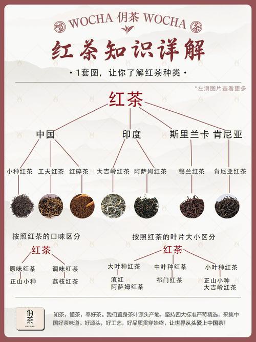 红茶类包括什么茶,红茶类包括哪些品种