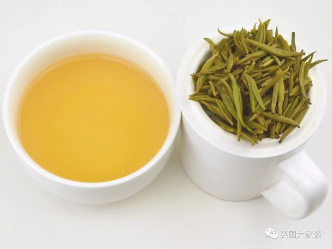 黄茶代表名茶,属于黄茶的五个茶叶名称