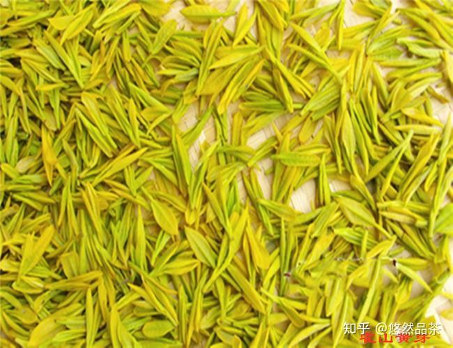 黄茶有哪些品种排名以及产地