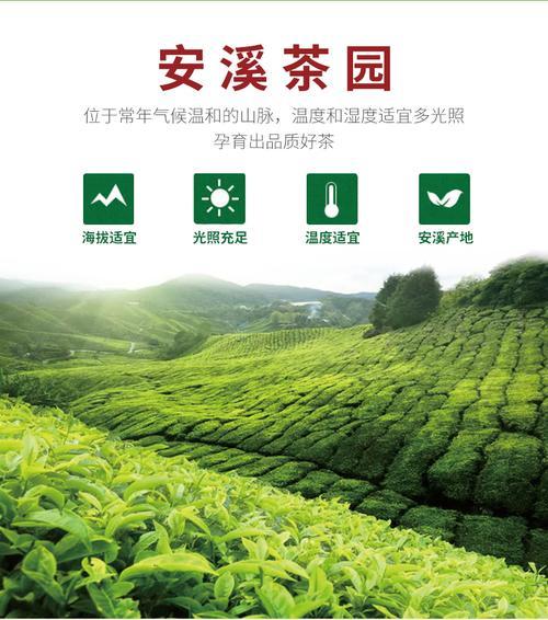 安溪茶叶历史,安溪茶叶产地在哪里
