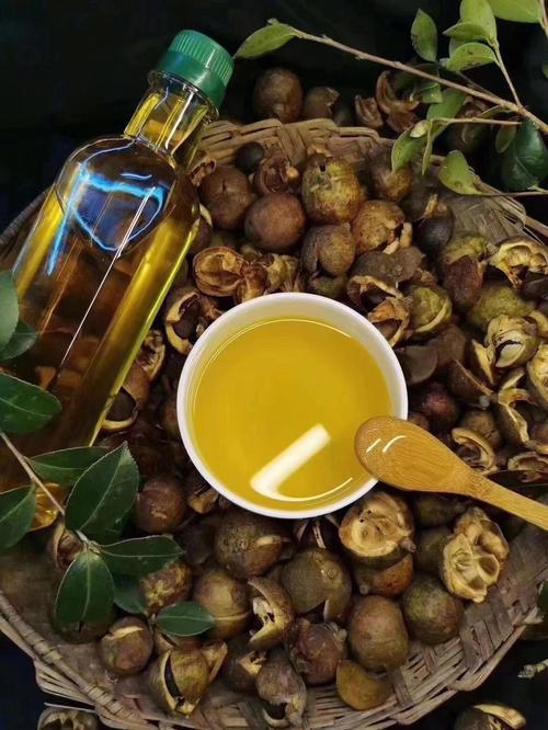 茶籽油作用功效,茶籽油的功效与作用及禁忌 食用方法