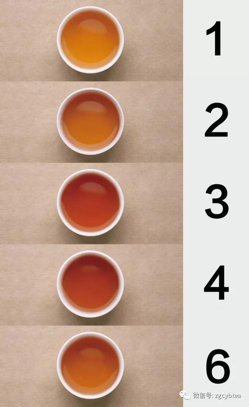 宜红茶审评杯容量,红茶绿茶黄茶白茶成品茶审评杯容量是