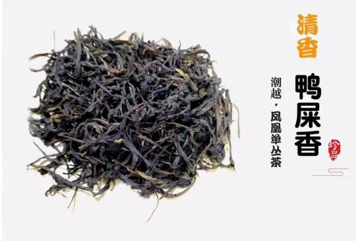 凤凰茶有几种,凤凰茶十大香型以及常见品种