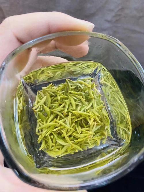 中国著名绿茶