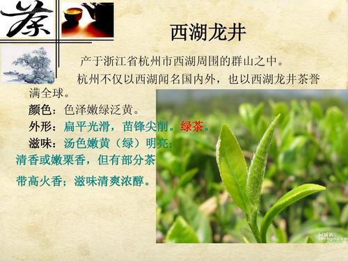 西湖龙井茶的历史可追溯到我国唐代