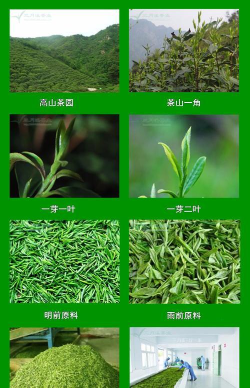 绿茶种类以及口感,绿茶的种类,绿茶的品质特征及功用