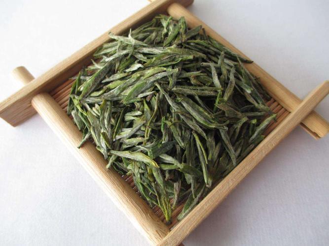 绿杨春茶是名茶吗还是品茶