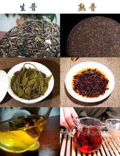 普洱茶分为哪几种,普洱茶生茶和熟茶哪个好