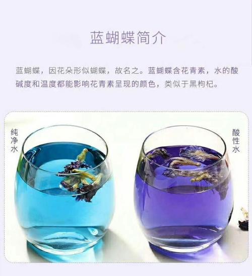 蓝蝴蝶花茶有毒吗,蓝蝴蝶花茶价格多少钱一斤