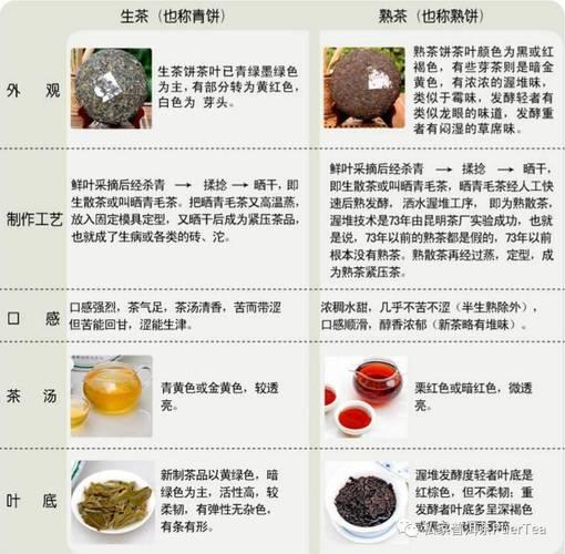 养肝护肝茶第一名普洱茶生的减肥还是熟的减肥