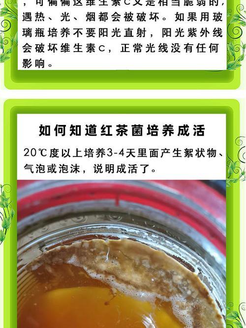 红茶菌的十大功效,红茶菌十大功效与作用及禁忌