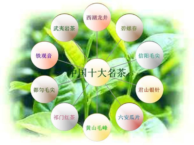 中国的名茶排名,中国名茶排行榜前十名及产地