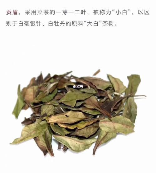 中国三大白茶产地,中国最好的白茶产自于什么地方