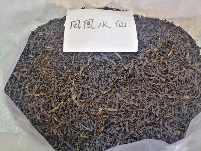 凤凰水仙是什么茶品种之一