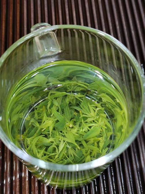 云南青山绿水茶叶是什么茶种