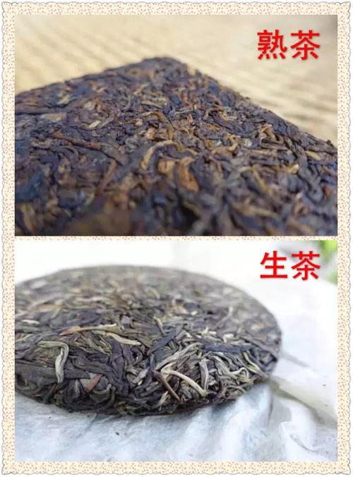 乌岽茶叶是什么茶生茶还是熟茶
