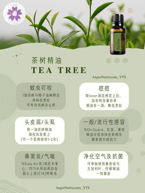 茶树精油功效与作用及使用方法