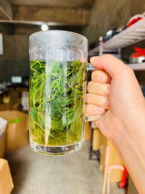 桑叶茶能长期喝吗,能减肥吗
