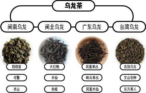 乌龙茶所有品种,乌龙茶品种排名前十名