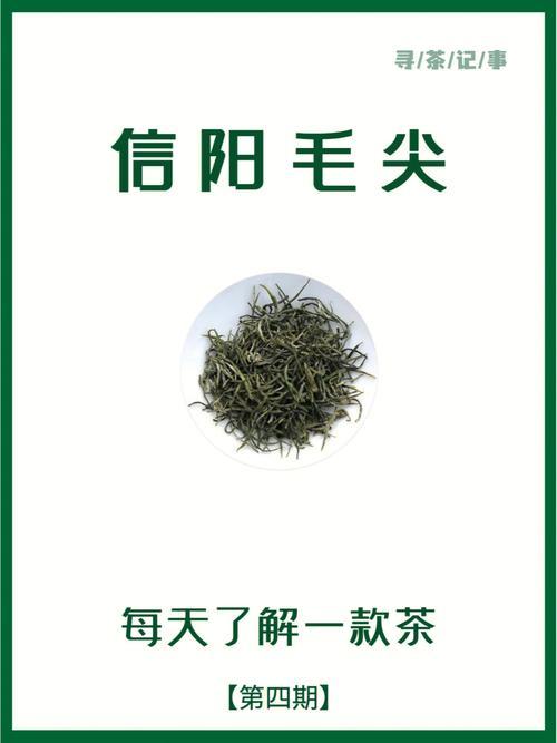 豫见信阳毛尖价格,信阳毛尖又称豫毛峰是中国十大名茶之一