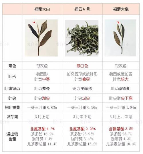 云南白茶的种类主分为四类