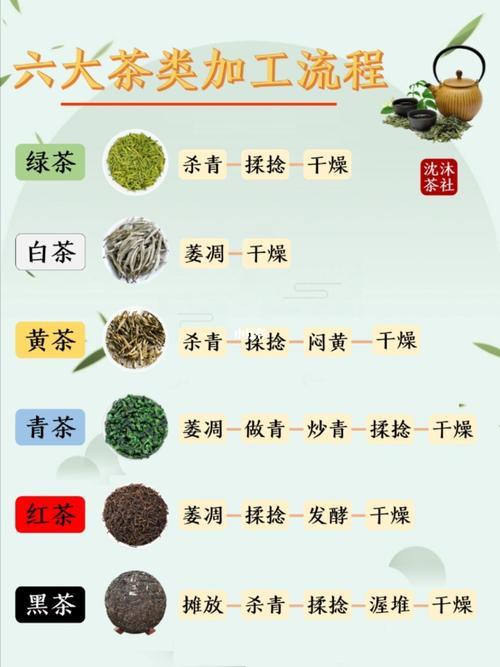 六大基本茶类的主要产地 主要特点 加工艺及代表名茶