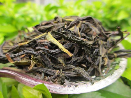 单丛茶是什么茶叶,单丛茶是什么茶树种出来的