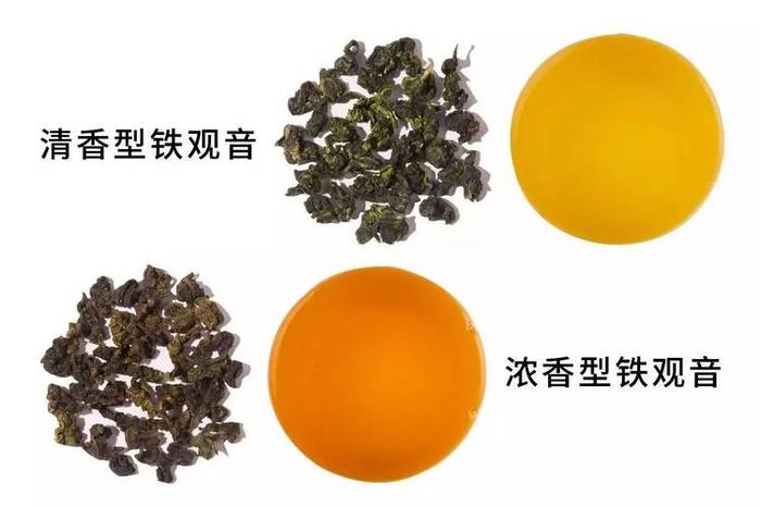 铁观音红茶和绿茶的区别