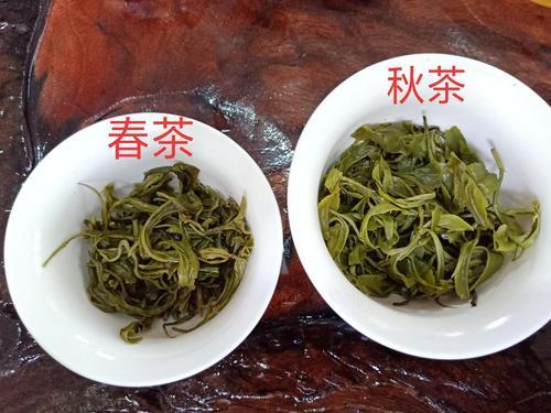 绿茶春茶夏茶和秋茶口感的区别