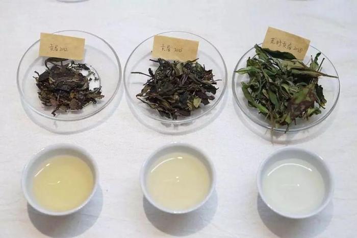 冬季喝白茶的好处,冬季喝白茶的四大益处和八大注意
