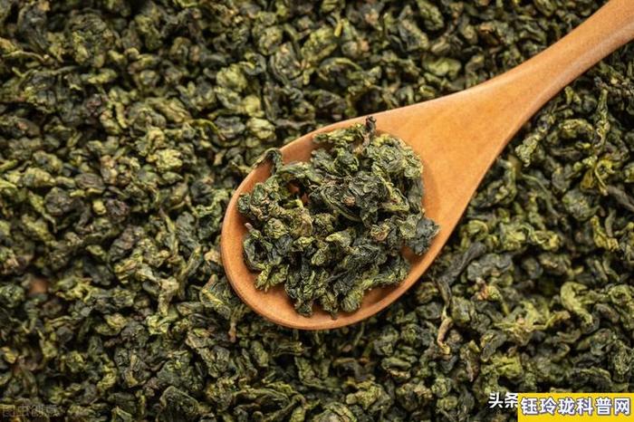 铁观音是什么茶种是绿茶还是红茶