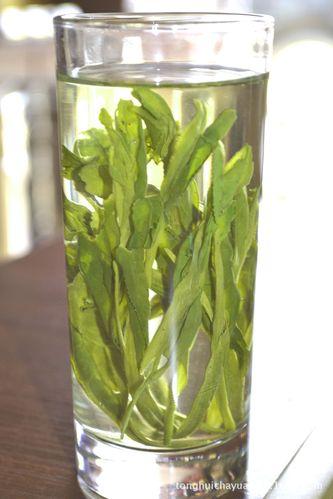 安徽绿茶排名,安徽三种名优绿茶品种