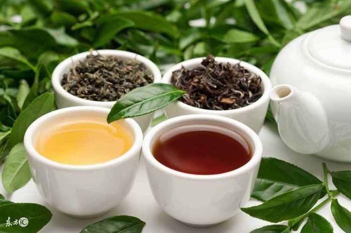 乌龙茶属于红茶吗乌龙茶属于绿茶还是红茶